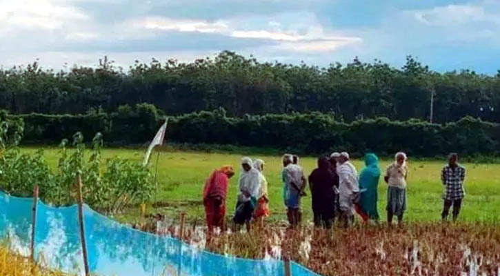 ভারত শত শত বাঙালি মুসলমানকে বাংলাদেশে ঠেলে দিচ্ছে: এইচআরডব্লিউ